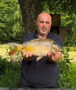 Mirror Carp