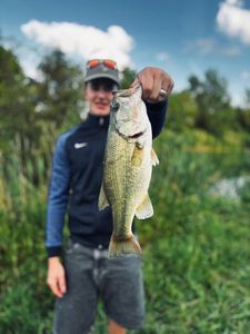 Smallmouth Bass