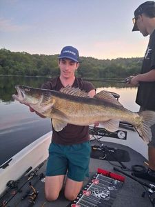 Zander