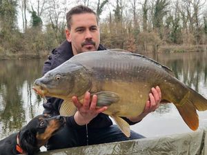 Mirror Carp