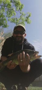 Smallmouth Bass