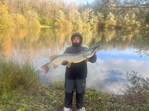 Northern Pike