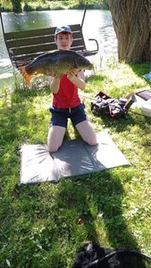 Common Carp