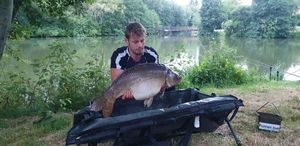 Mirror Carp