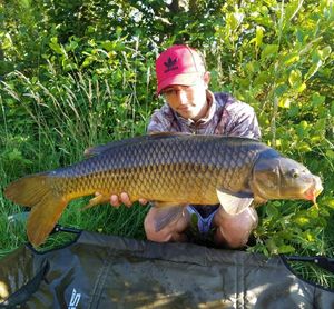 Common Carp