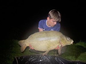 Mirror Carp