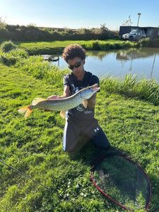 Northern Pike