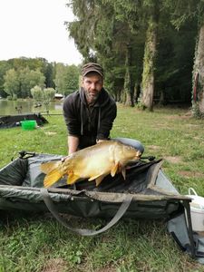 Mirror Carp