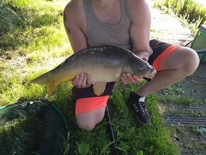 Mirror Carp
