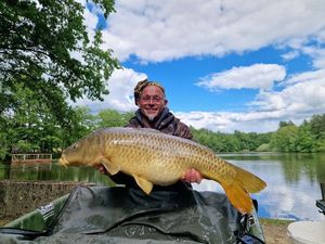 Mirror Carp