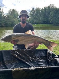 Grass Carp