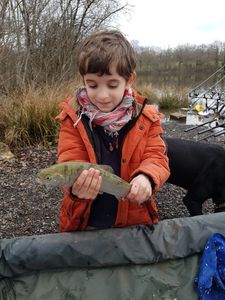 Crucian Carp
