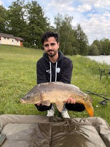 Mirror Carp