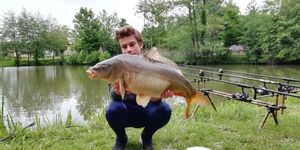 Mirror Carp