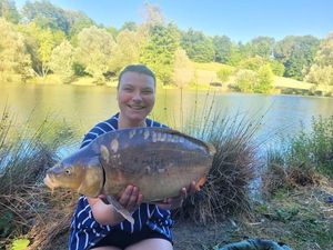 Mirror Carp