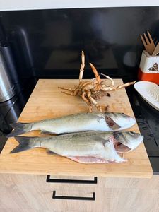 European Bass (Seabass)