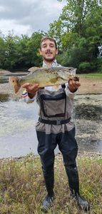 Largemouth Bass