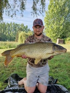 Common Carp