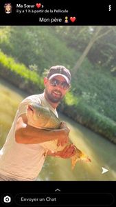 Grass Carp
