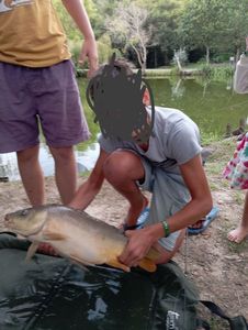 Mirror Carp