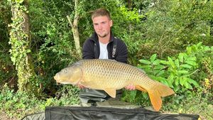 Common Carp