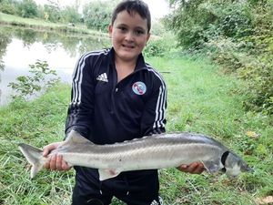 Sturgeon