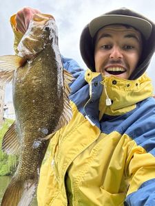 Smallmouth Bass