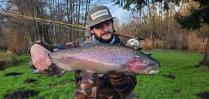 Rainbow Trout