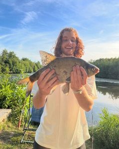 Common Bream