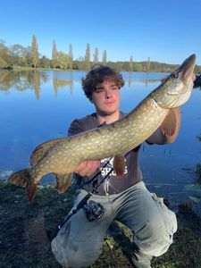 Northern Pike