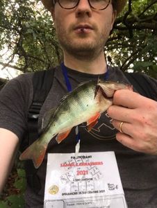 European Perch