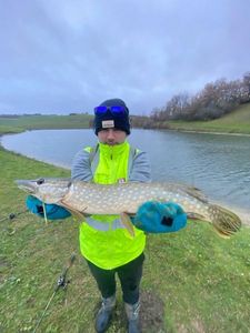 Northern Pike