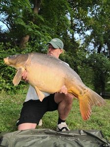 Mirror Carp