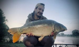 Mirror Carp