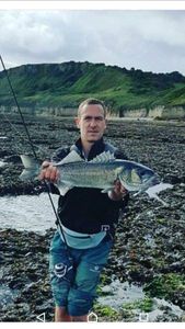 European Bass (Seabass)