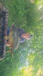 Mirror Carp