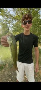 Largemouth Bass