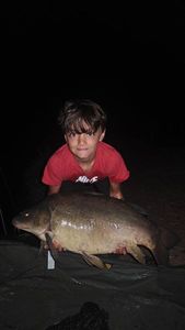 Mirror Carp