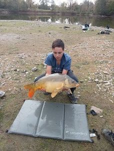 Mirror Carp