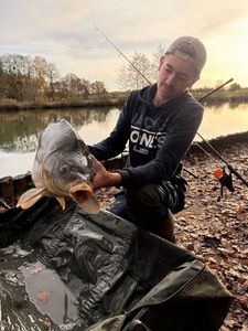 Mirror Carp