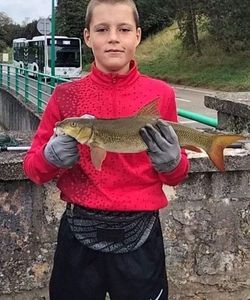 Barbel