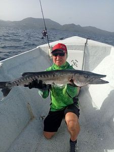 Great Barracuda