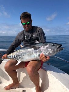 Bluefin Tuna