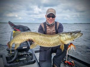 Northern Pike