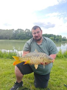 Mirror Carp