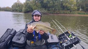 Smallmouth Bass