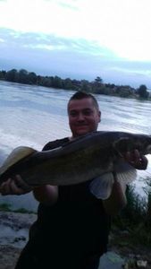 Zander