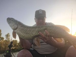 Northern Pike
