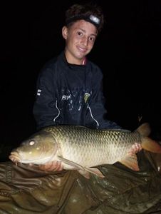 Common Carp