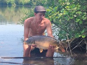 Mirror Carp